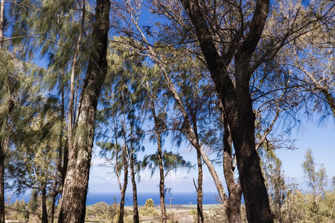 Lumeria Maui, Educational Retreat Center Makawao Eksteriør billede